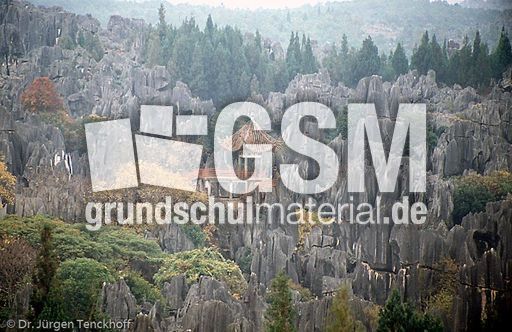 China (25 von 257).jpg